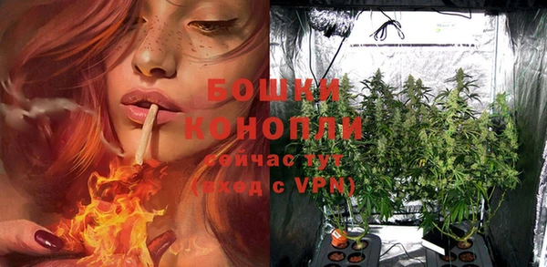 кокс Богородск