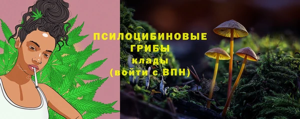 альфа пвп Богданович