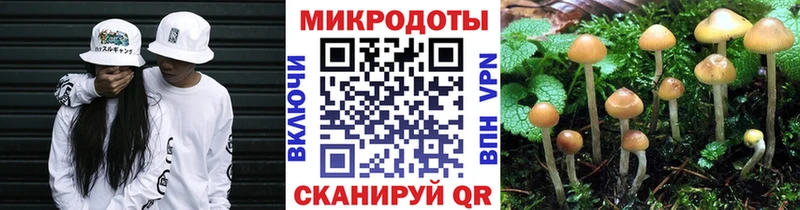 сколько стоит  Дюртюли  Псилоцибиновые грибы GOLDEN TEACHER 
